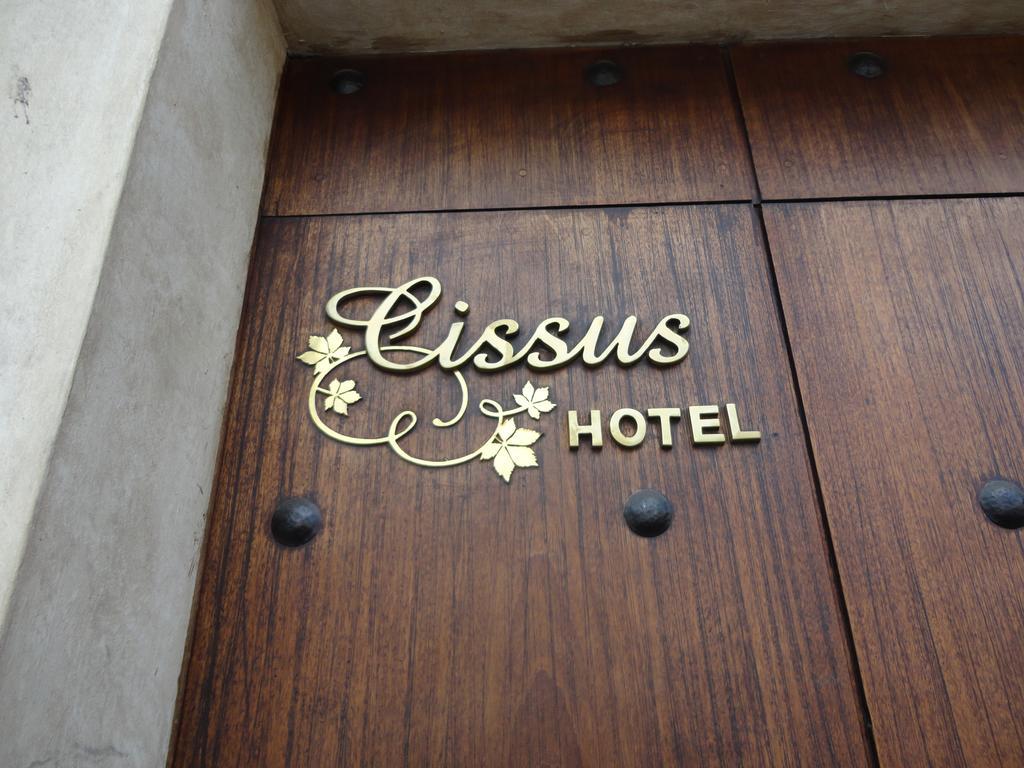 אנטיגואה גואטמלה Cissus Hotel Boutique (Adults Only) חדר תמונה