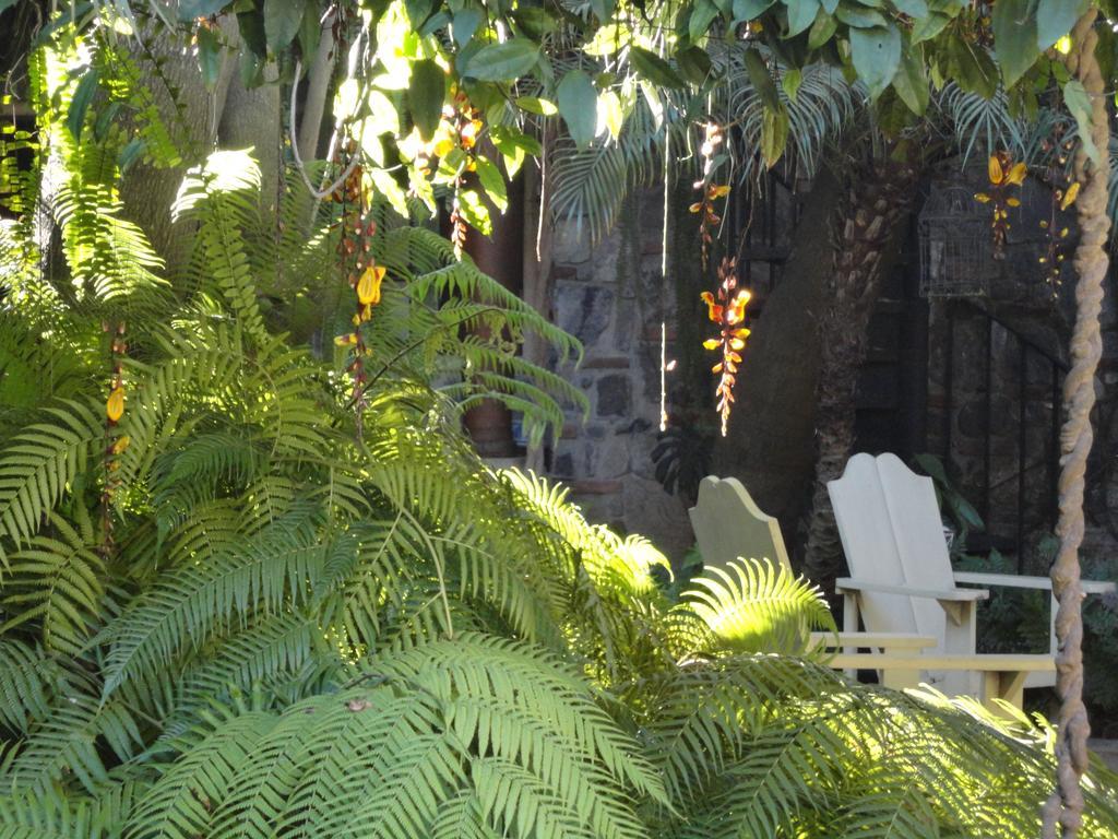 אנטיגואה גואטמלה Cissus Hotel Boutique (Adults Only) מראה חיצוני תמונה