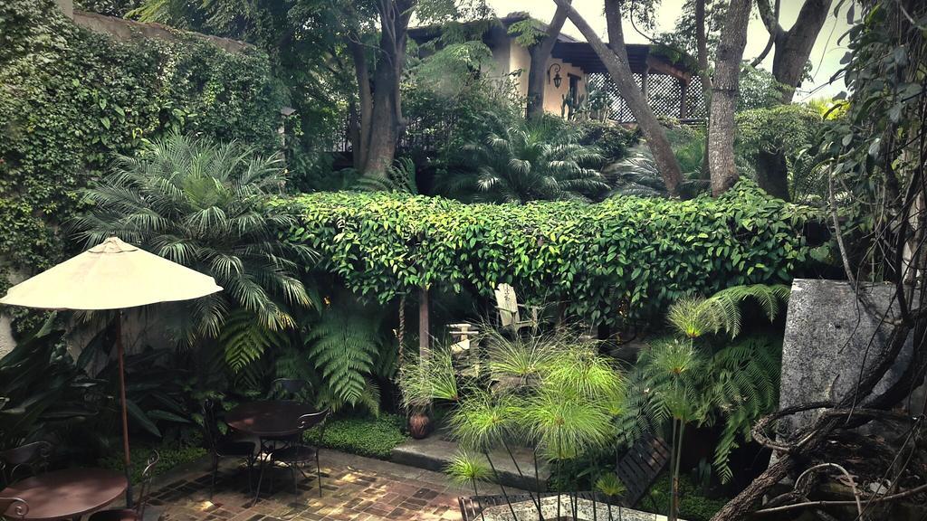 אנטיגואה גואטמלה Cissus Hotel Boutique (Adults Only) מראה חיצוני תמונה